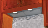 28 Inch Inca Smart Insert Hood with Energy Diffuser