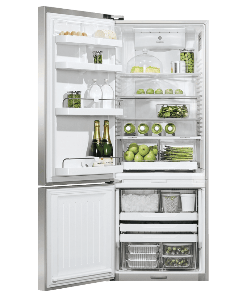 Fisher & Paykel Stainless Steel Refrigerator-RF135BDLUX4N